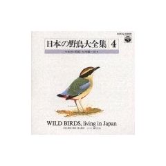 日本の野鳥大全集４
